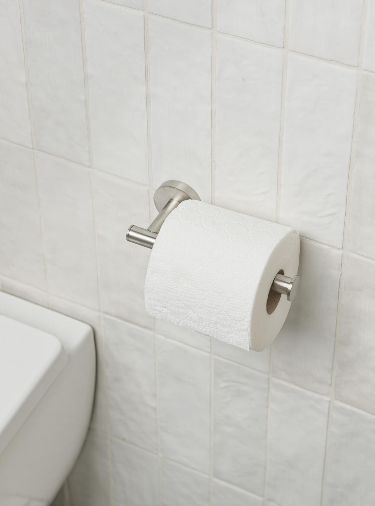 Pirlo Toilet Roll Holder BN