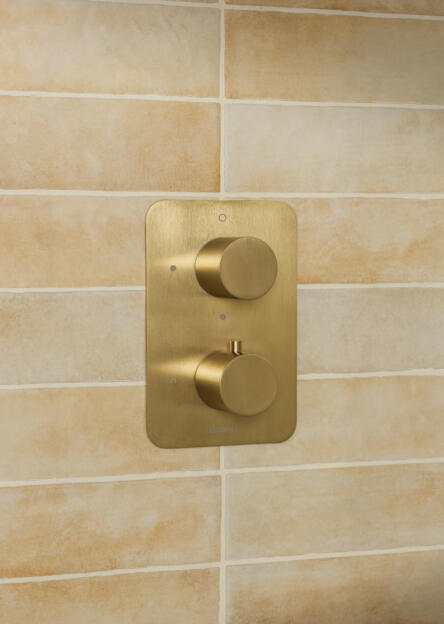 BB Vario Shower Valve Plate