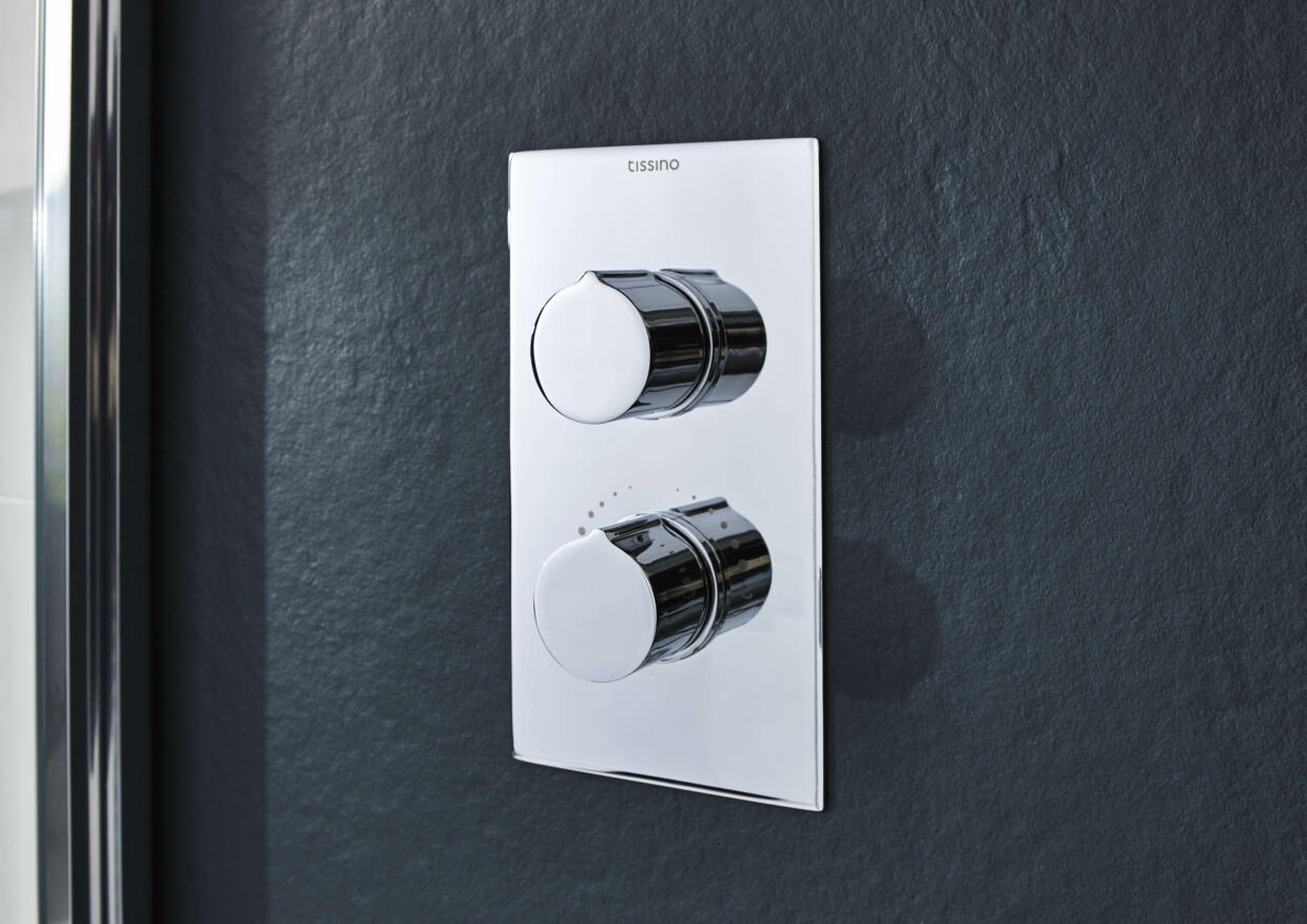 RS Mario Dual Handle Concealed Shower Valve Web