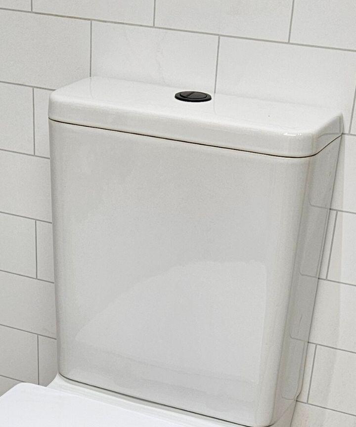 Flush Button