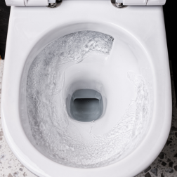 Vorta Flush
