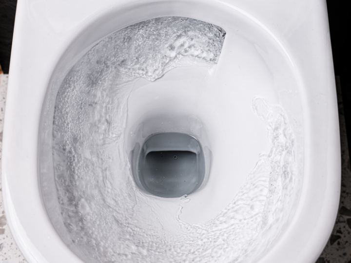 Vorta Flush