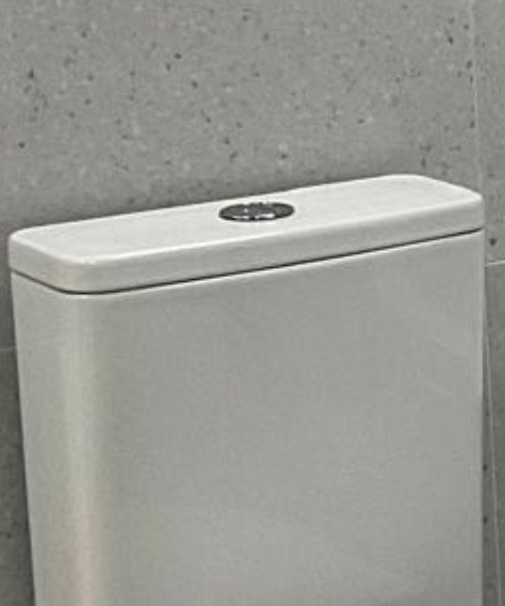 Flush Button2
